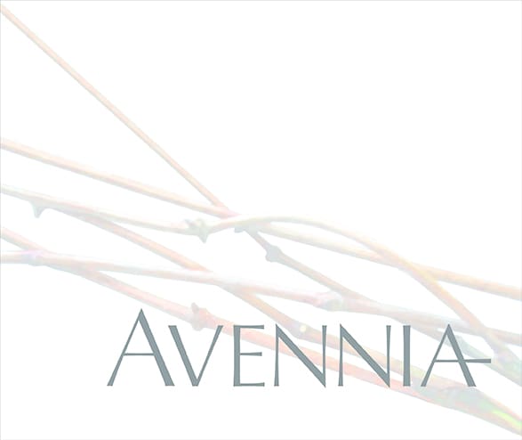 Avennia logo with abstract branch design.
